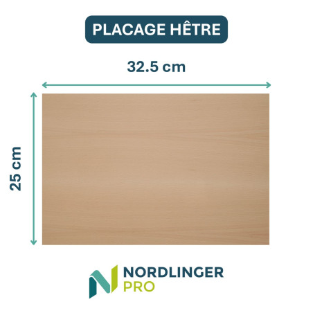 Feuille de placage hêtre dimension