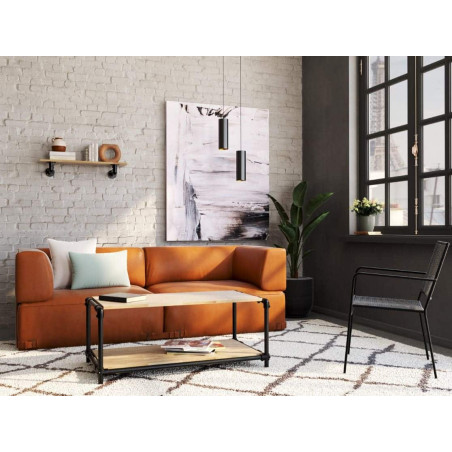 Table basse industrielle 2 plateaux