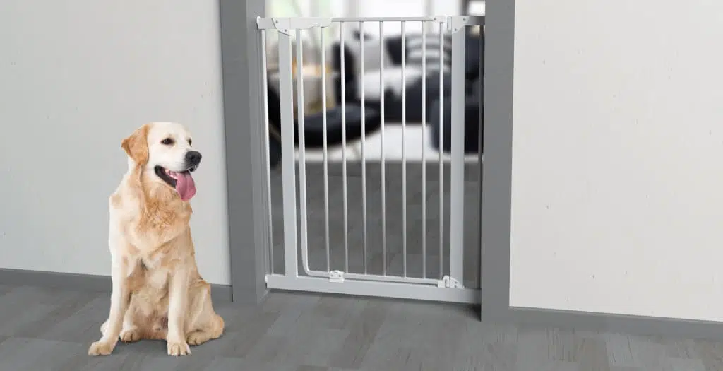 Barrire portillon chien