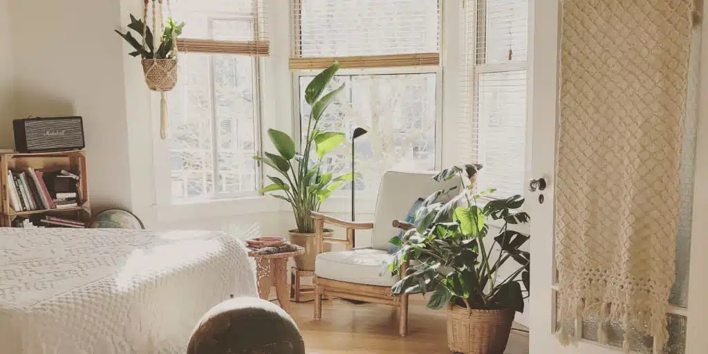 Déco scandinave avec plante verte