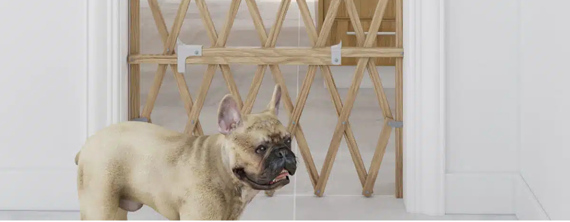 Barrière pour chien sans percer