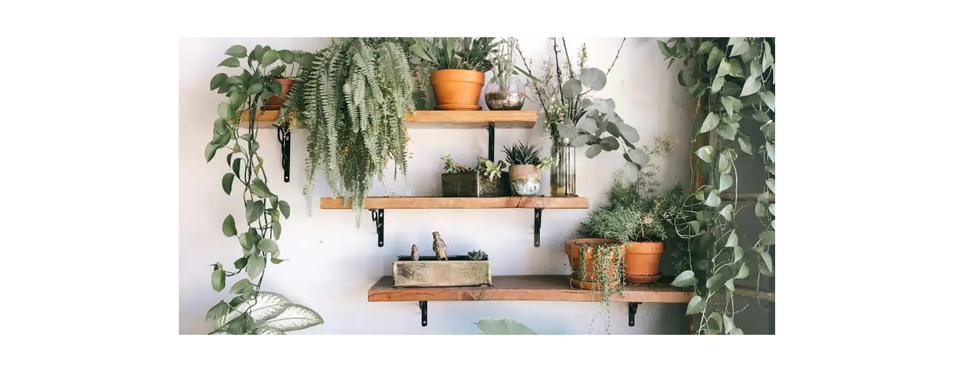 Comment fixer une étagère au mur ?