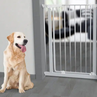 Limitez l’accès avec une barrière d’escalier pour chien