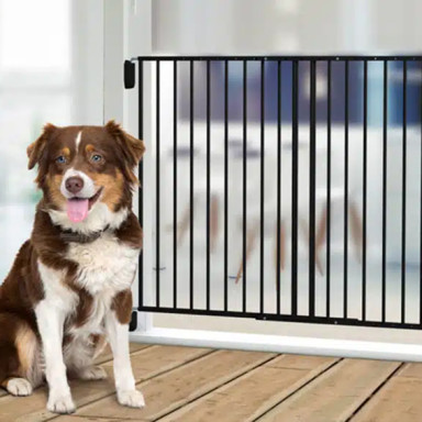Quelle barrière pour chien choisir ?